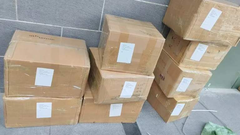 foiljoy-custom-order-cartons-436--jpeg